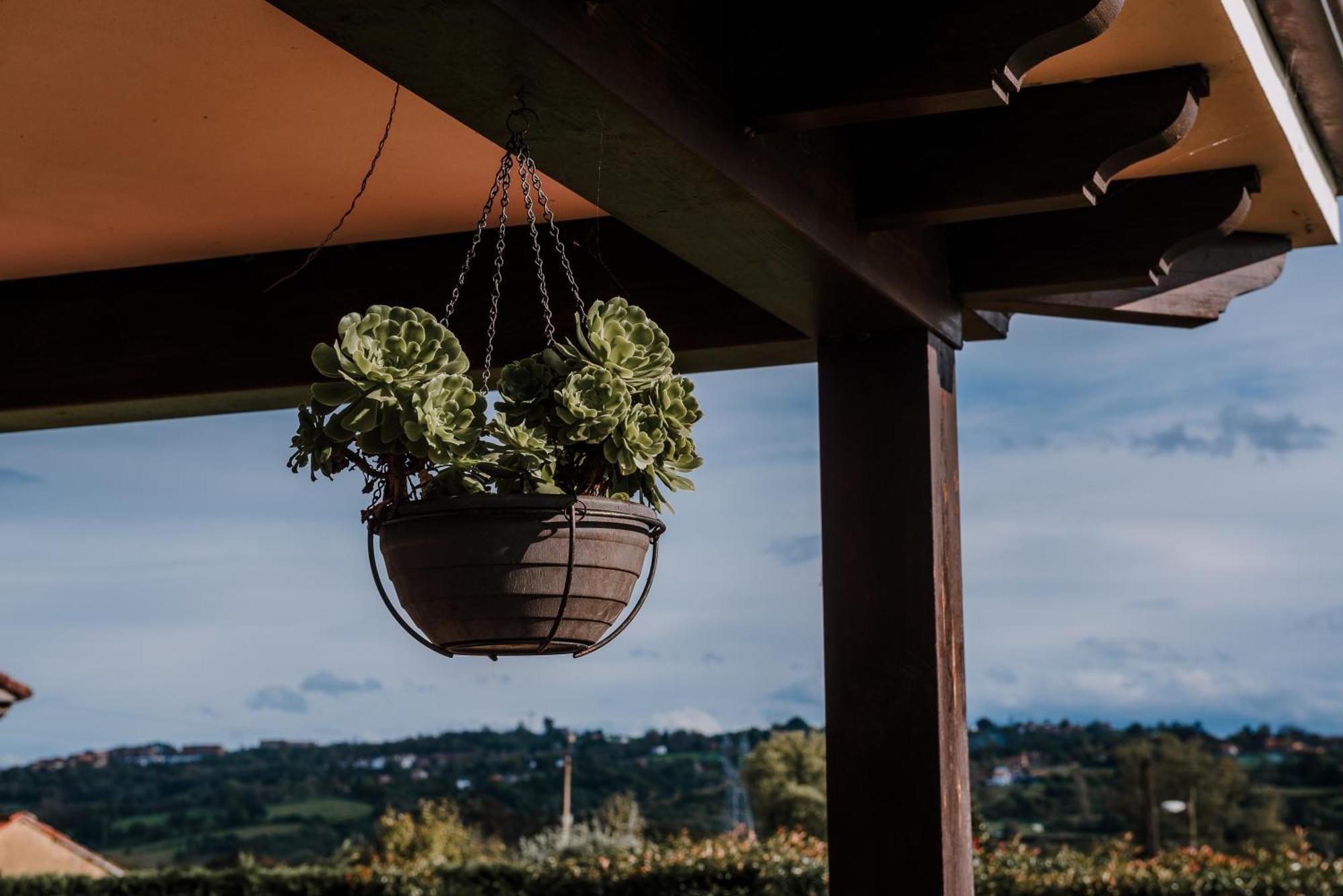 Villa Tiviti 奥维耶多 外观 照片